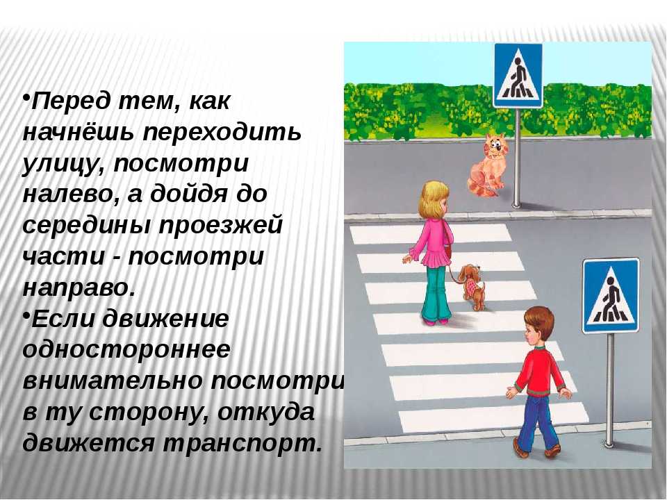 Правила дорожного движения для пешеходов