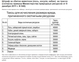 Сколько за сбитого лося. Штрафы за сбитых животных в России. Таблица сбитых животных штрафов. Штрафы за сбитых животных 2021. Штраф за сбитое животное.