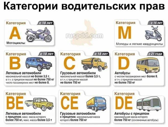 Что обозначает категория в1 в правах — водительское удостоверение в россии 2023