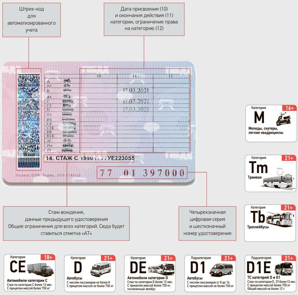 Права категории д и д1: как получить, требования, сколько пассажиров можно перевозить с d и d1
